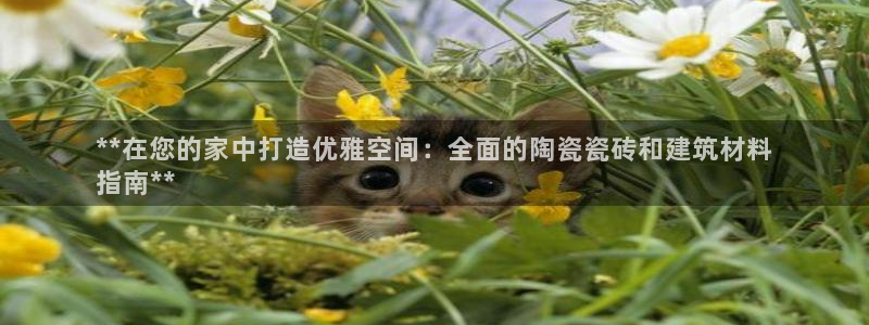 杏鑫平台代理怎么样可靠吗