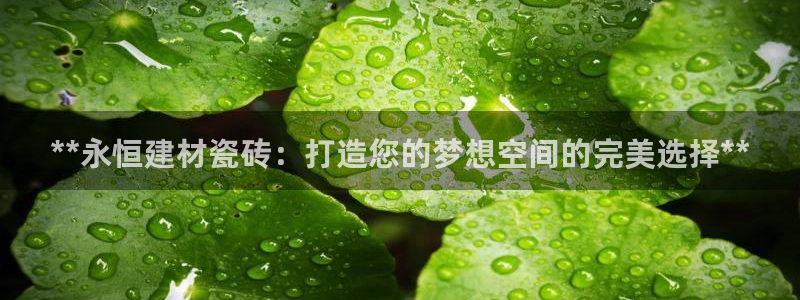杏鑫平台招商