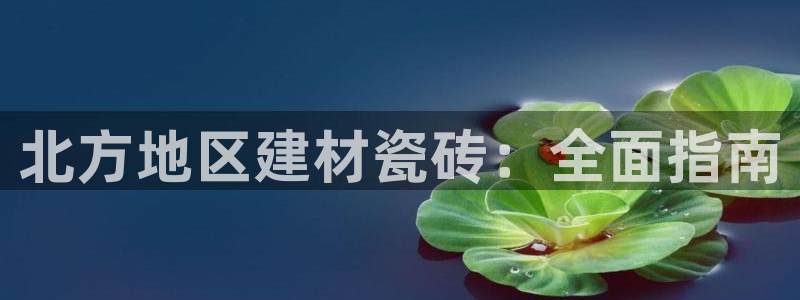杏鑫官方平台怎么样啊可靠吗