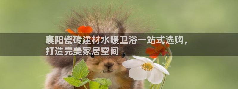杏鑫平台招商