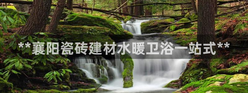 杏鑫平台怎么样黑钱吗安全吗是真的吗