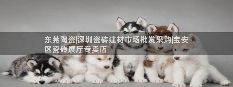 杏鑫平台是黑平台吗知乎