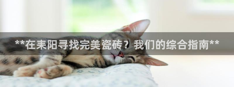 杏鑫娱乐平台