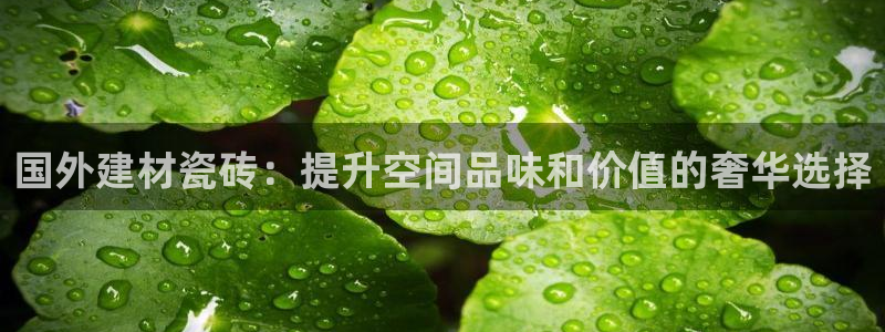杏鑫平台怎么样黑钱吗是真的吗