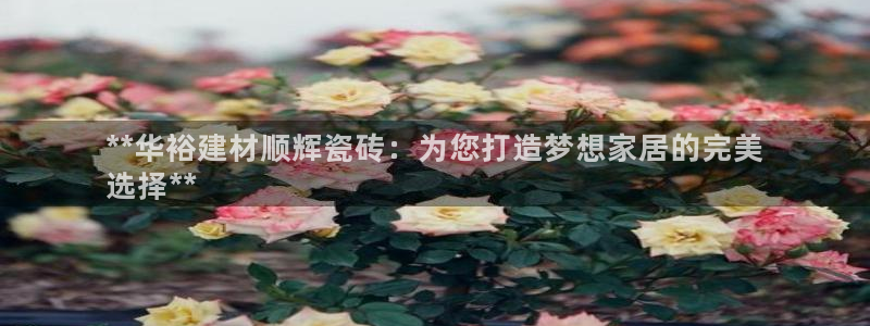 杏鑫官方平台怎么样