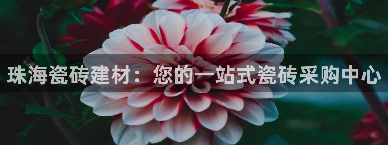 杏鑫平台官方网站