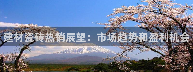 杏鑫平台招商