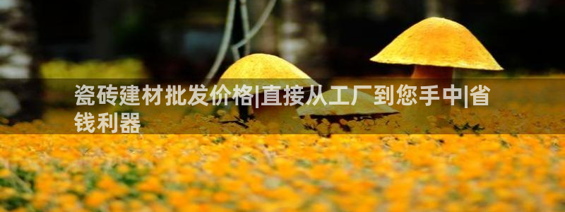 杏鑫平台待遇