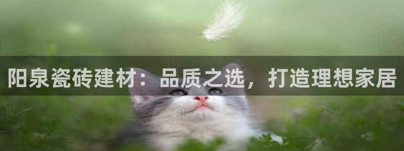 杏鑫娱乐平台测速怎么样