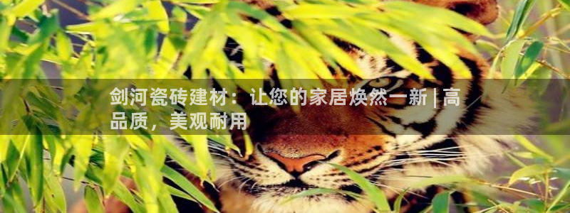 杏鑫平台测速怎么样