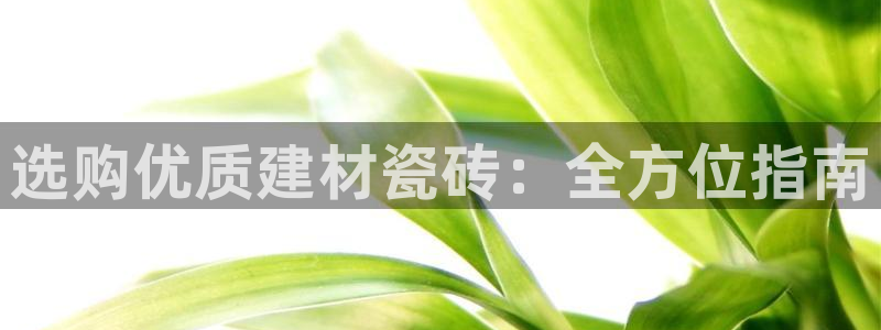 杏鑫平台代理