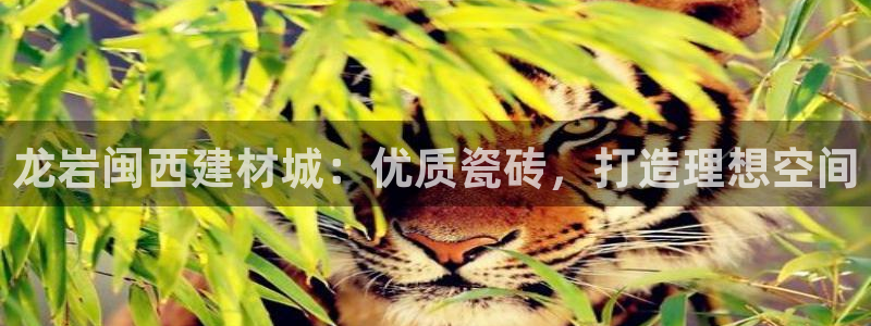 杏鑫平台正规吗是真的吗