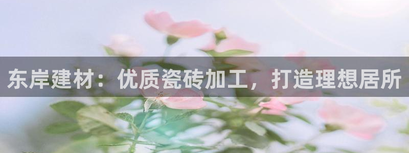 杏鑫3主管