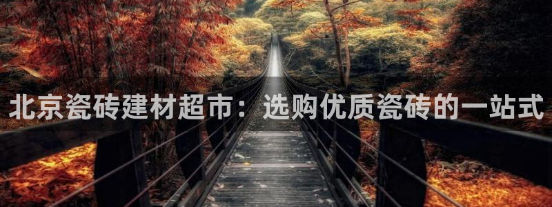 杏鑫平台测速怎么样