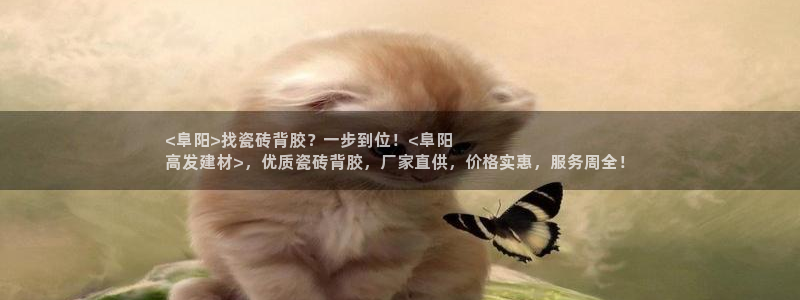 杏鑫娱乐平台