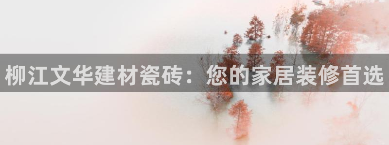 杏鑫手机客户端