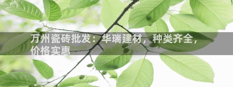 杏鑫官方平台怎么样啊安全吗