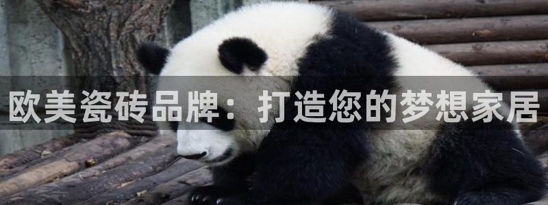 杏鑫娱乐平台测速