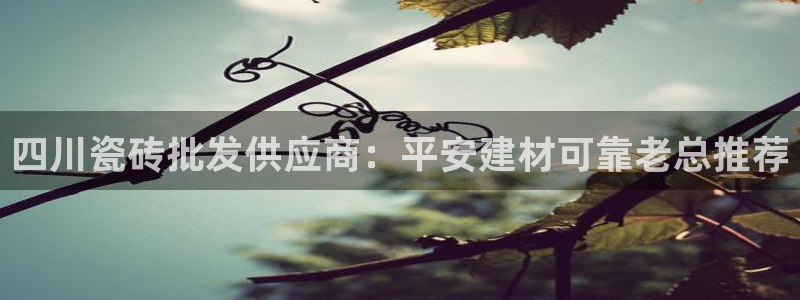 杏鑫平台平台娱乐
