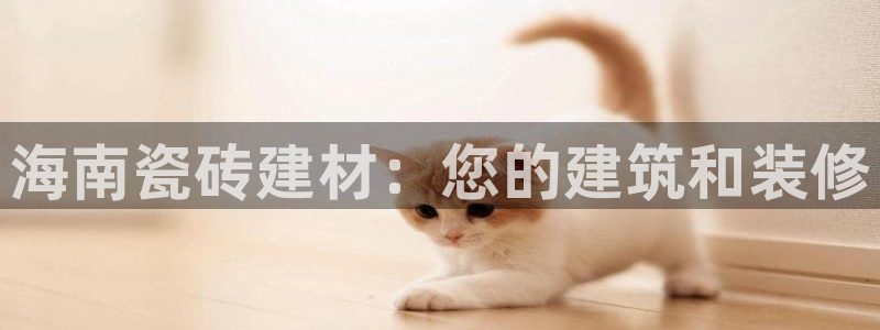 杏鑫平台怎么样知乎