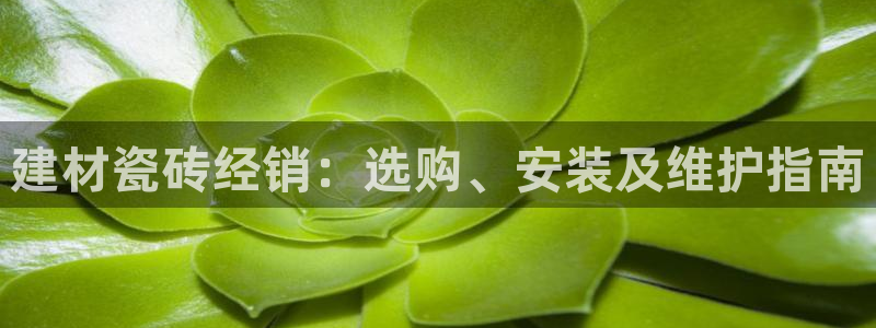 杏鑫平台怎么样黑钱吗是真的吗知乎