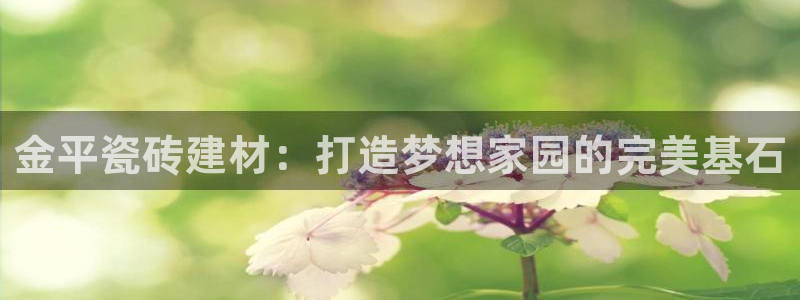 杏鑫平台代理怎么做
