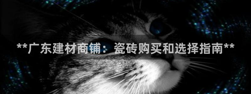 杏鑫平台招商怎么样