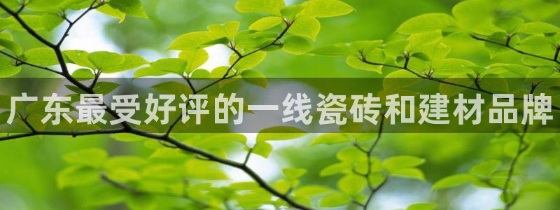 杏鑫平台代理怎么样赚钱