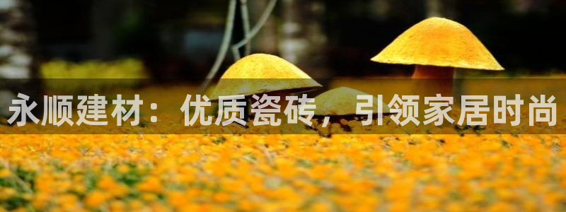 杏鑫娱乐官方网站客户端下载