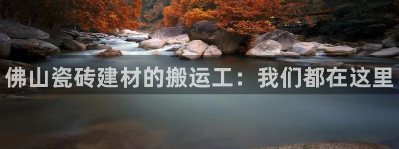 杏鑫平台是黑平台吗