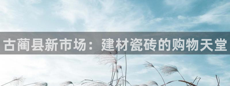 杏鑫官方平台怎么样啊知乎